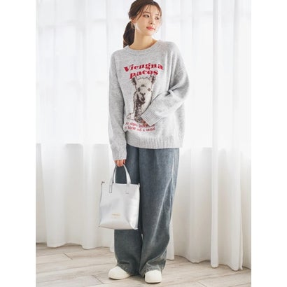 ルディックパーク Ludic Park アルパカ柄シャギーニットプルオーバー （茶）｜詳細画像