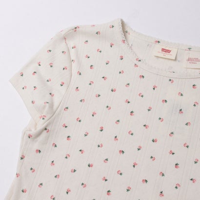 リーバイス LEVI'S DRY GOODS Tシャツ （Pinks）｜詳細画像