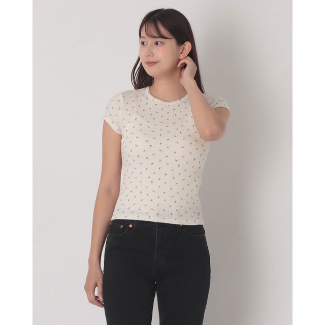 DRY GOODS Tシャツ （Pinks）