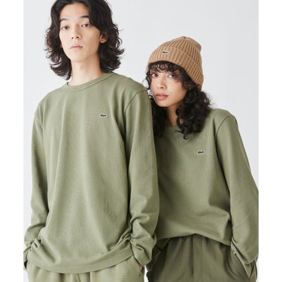 ラコステ LACOSTE クラシックフィット ビッグピケ ロングスリーブTシャツ （ライトブラウン）｜詳細画像