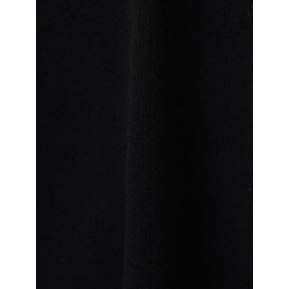 ランバン コレクション LANVIN COLLECTION ミラノリブカットソー （ブラック）｜詳細画像