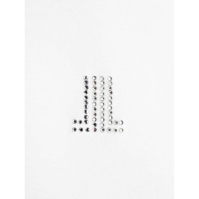 ランバン コレクション LANVIN COLLECTION 桐生オーガンジーリボン刺繍×ホットフィット・新定番カットソー （ブラック）｜詳細画像