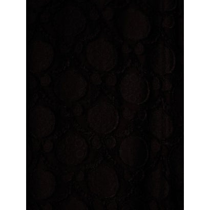 ランバン コレクション LANVIN COLLECTION ウォールカットジャカード・フレンチスリーブワンピース （ブラック）｜詳細画像