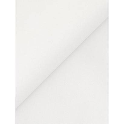 ルクールブラン le.coeur blanc 【日本製】レギュラーカラーシャツ （イエロー）｜詳細画像