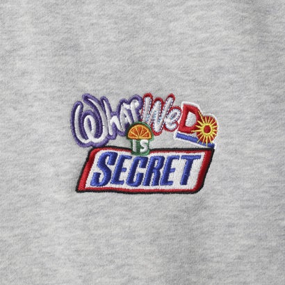 エンブロイダリー フーディ（EMBROIDERY HOODIE） （GRAY）｜詳細画像