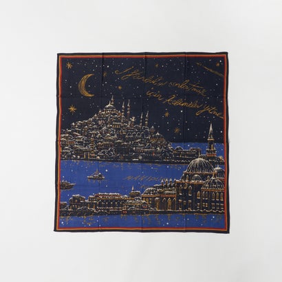 マニプリ manipuri WOOL SILK PRINT STOLE （ブラウン）｜詳細画像
