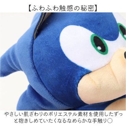 ty Mサイズぬいぐるみ （クリーパー）｜詳細画像