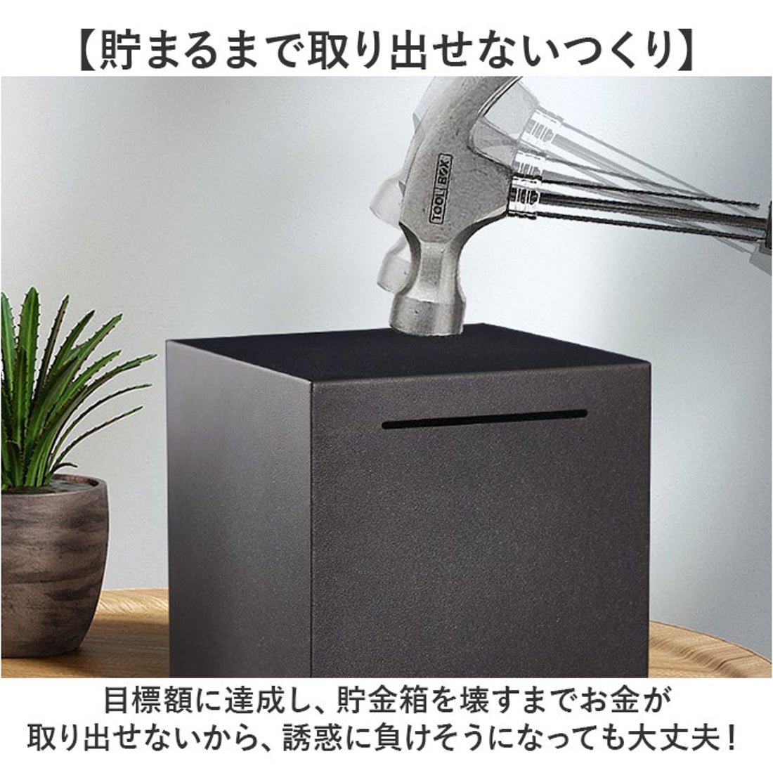 バックヤードファミリー BACKYARD FAMILY 開かない貯金箱 お札