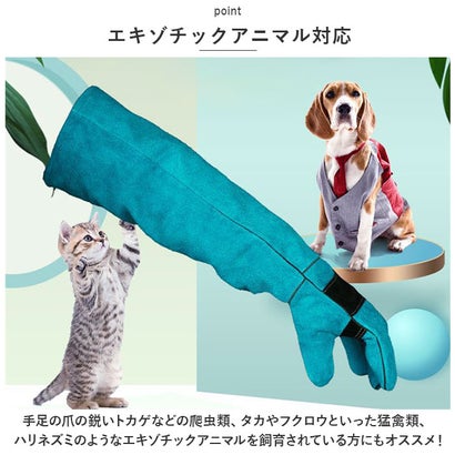 ペット グローブ 60cm spetglove60【返品不可商品】 （イエロー）｜詳細画像