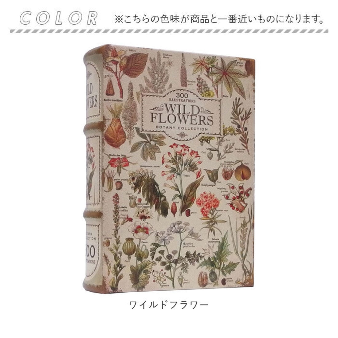 バックヤードファミリー BACKYARD FAMILY アンティークルック