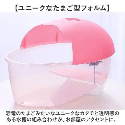 亀用水槽 飼育ケース 【返品不可商品】 （ブルー）｜詳細画像