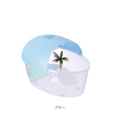 亀用水槽 飼育ケース 【返品不可商品】 （ブルー）｜詳細画像