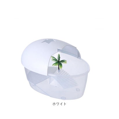亀用水槽 飼育ケース 【返品不可商品】 （ブルー）｜詳細画像