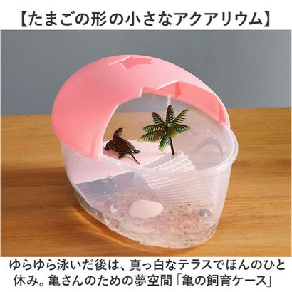 亀用水槽 飼育ケース 【返品不可商品】 （ブルー）｜詳細画像