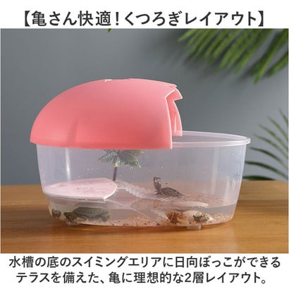 亀用水槽 飼育ケース 【返品不可商品】 （ブルー）｜詳細画像