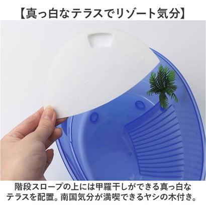 亀用水槽 飼育ケース 【返品不可商品】 （ブルー）｜詳細画像