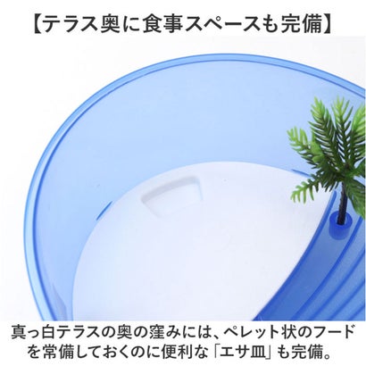 亀用水槽 飼育ケース 【返品不可商品】 （ブルー）｜詳細画像
