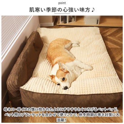 ペットベッド pk23d 【返品不可商品】 （ブラウン）｜詳細画像