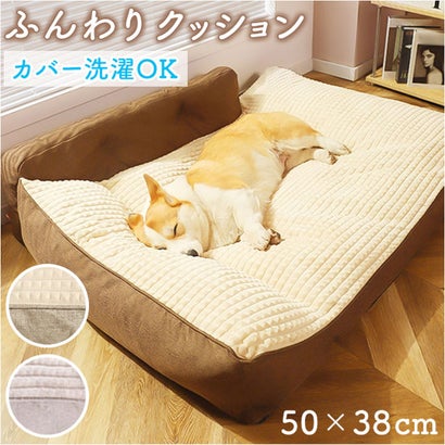 ペットベッド pk23d 【返品不可商品】 （グレー）｜詳細画像