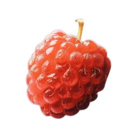 おもしろい フルーツしおり果物 （ラズベリー）