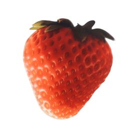 おもしろい フルーツしおり果物 （いちご）