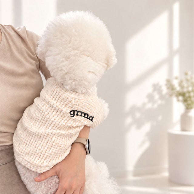 犬服 Tシャツ ドッグウェア カットソー 長袖 （ホワイト）