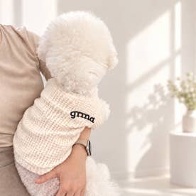 犬服 Tシャツ ドッグウェア カットソー 長袖 （ホワイト）