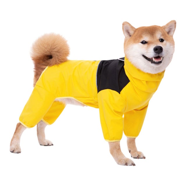 犬 レインコート （イエロー）