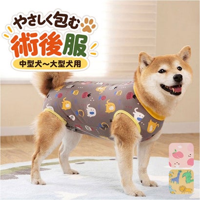 犬 術後服 傷舐め防止 中型犬 大型犬 ストレッチ （イエロー）｜詳細画像