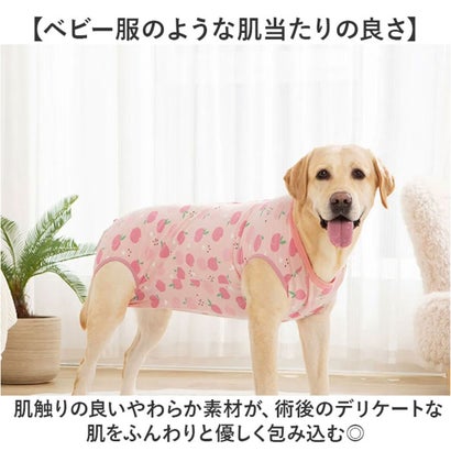 犬 術後服 傷舐め防止 中型犬 大型犬 ストレッチ （イエロー）｜詳細画像