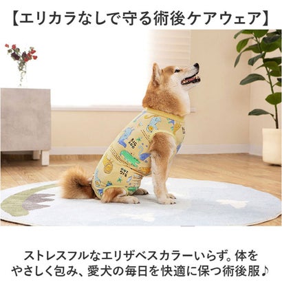 犬 術後服 傷舐め防止 中型犬 大型犬 ストレッチ （ピンク）｜詳細画像