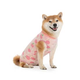 犬 術後服 傷舐め防止 中型犬 大型犬 ストレッチ （ピンク）