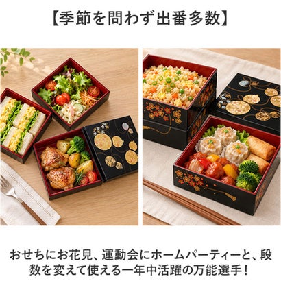 5.0三段角重 タッパ付き （六瓢箪）｜詳細画像