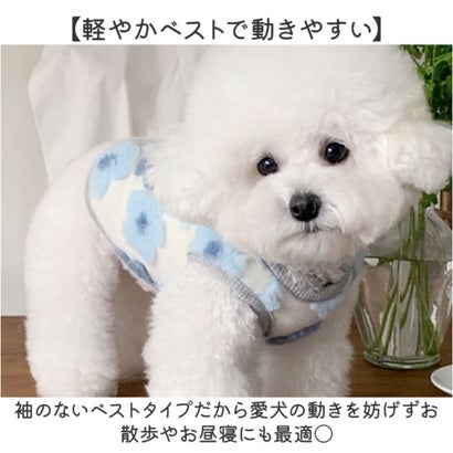 犬 服 秋冬カーディガン ベスト 立体フラワー ペットウェア （ブルー）｜詳細画像