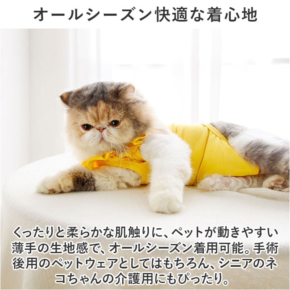 ハンドメイド 猫ちゃん 着ぐるみマスコット & フリルバッグ