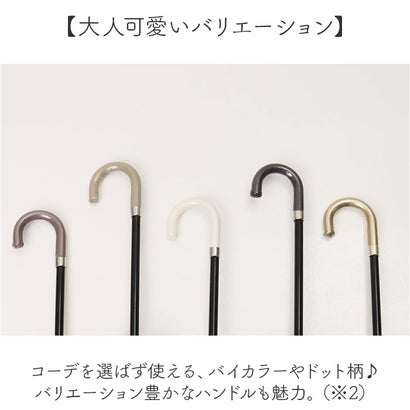 バックヤードファミリー BACKYARD FAMILY because ビコーズ 折りたたみ傘 （2トーン/ネイビー）｜詳細画像