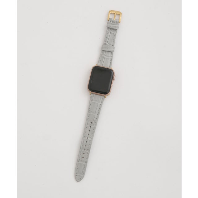 Hashibami/Apple Watch 38/40/41 ベゼル用ベルト L.グレー1