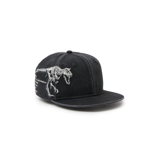 YTH950 DINSR SKELETON / （BLK (01)）