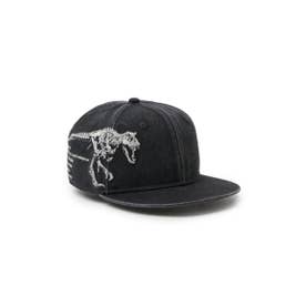 YTH950 DINSR SKELETON / （BLK (01)）