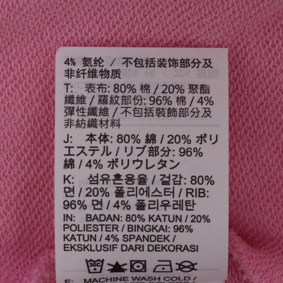 ナイキ NIKE レディース トレーナー スウェット STDO フリース スウェットシャツ レディース ブランド クルーネック IM8510 （ホワイト）｜詳細画像