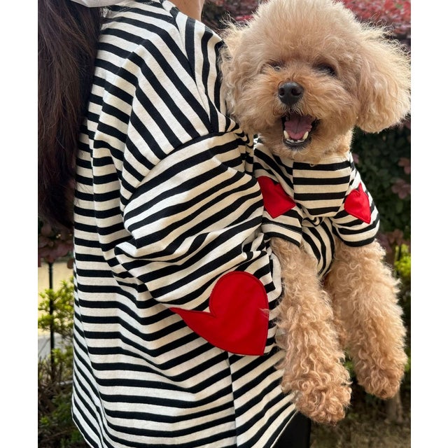 【FR PETS】ボーダーハートパッチPO （ホワイト系2）