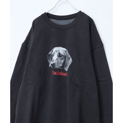 グロスター GLOSTER DOG&CAT犬猫ピグメントスウェット （マルチ）｜詳細画像