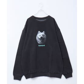 DOG&CAT犬猫ピグメントスウェット （マルチ）