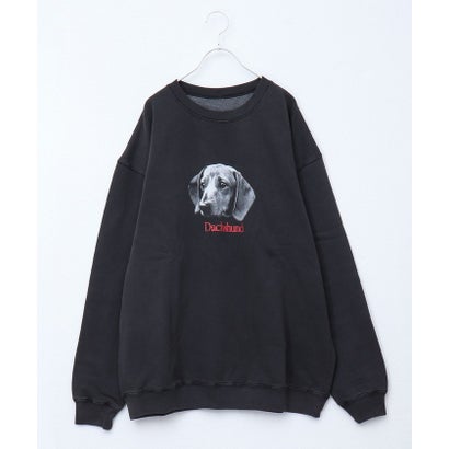 グロスター GLOSTER DOG&CAT犬猫ピグメントスウェット （その他1）｜詳細画像