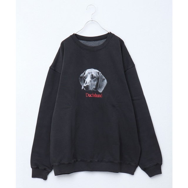 DOG&CAT犬猫ピグメントスウェット （その他1）
