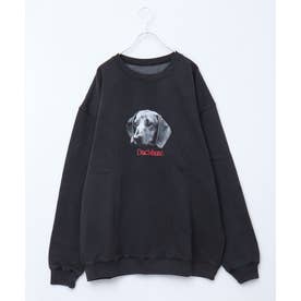 DOG&CAT犬猫ピグメントスウェット （その他1）
