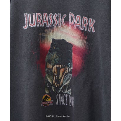 JURASSIC PARK 裏起毛スウェット （ブラック・グレー系1）｜詳細画像