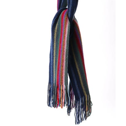 【JAMES CHARLOTTE/ジェームス・シャルロット】501 Warp Knit Multi Stripe Scarf 25 （マルチ）｜詳細画像