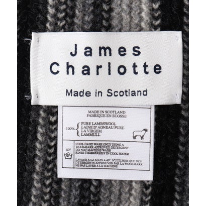 【JAMES CHARLOTTE/ジェームス・シャルロット】501 Warp Knit Multi Stripe Scarf 25 （マルチ）｜詳細画像