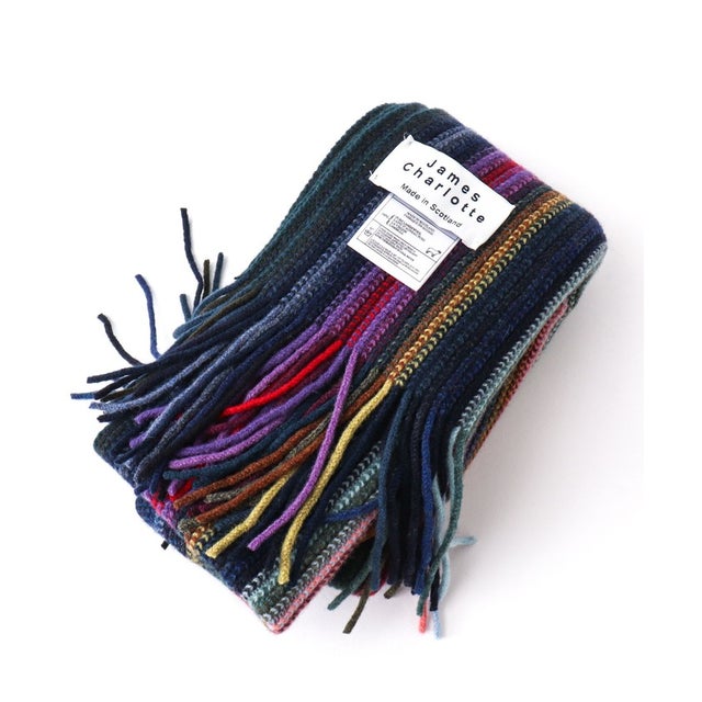 【JAMES CHARLOTTE/ジェームス・シャルロット】501 Warp Knit Multi Stripe Scarf 25 （マルチ）